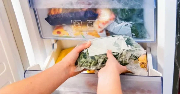 ¿Cómo reducir el consumo de energía del congelador?