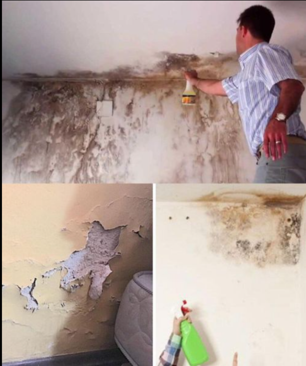 ¿Cómo reparar una pared afectada por la humedad? Un método fácil, rápido y súper efectivo