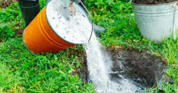 ¿Cómo reutilizar las cenizas de la barbacoa?