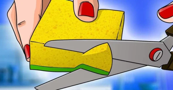 ¿Cómo saber la diferencia entre las esponjas para platos?