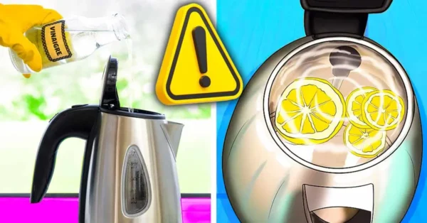 ¿Cómo se elimina la cal de una tetera? Evita el limón y el vinagre.