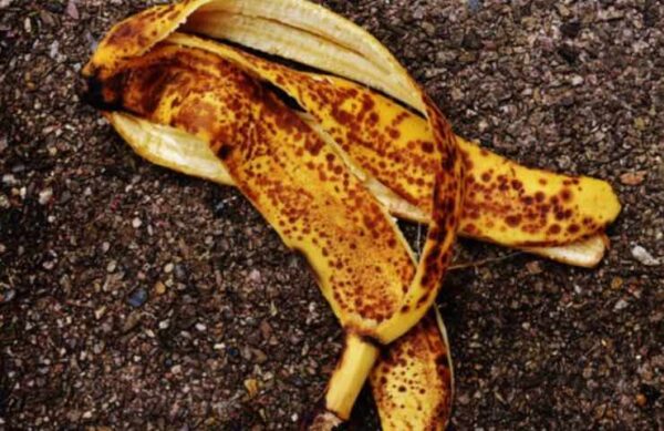 Cocinar con cáscaras de plátano: la solución ideal para no tirarlas