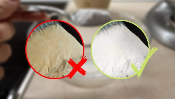 Cojines blancos y muy perfumados, no hace falta detergente: utiliza este