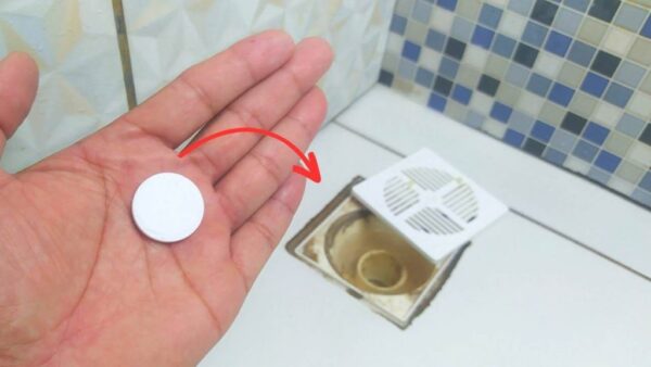 Colócalo en tu baño y déjate sorprender: podrás decirle adiós a los malos olores