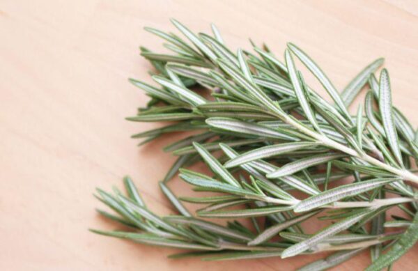 Coloca una ramita de romero en este lugar de tu cocina y solucionarás un gran problema