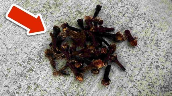 Coloque un puñado detrás de la puerta de su casa: se librará de este problema generalizado