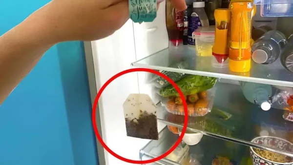 Coloque una bolsita de té en el refrigerador durante la noche: he aquí por qué debería hacerlo