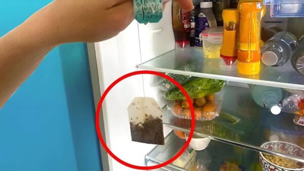 Coloque una bolsita de té en el refrigerador durante la noche: he aquí por qué debería hacerlo