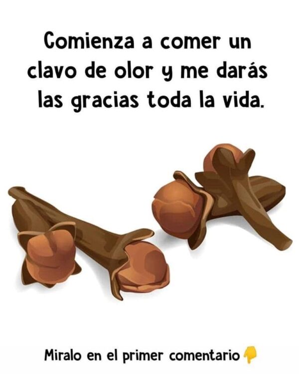 Comienza a Comer Dos Clavos de Olor por Día y Me Darás las Gracias Toda la Vida