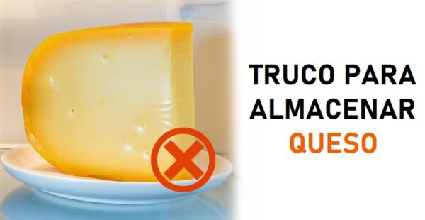 Como conservar un trozo de queso sin que se ponga feo