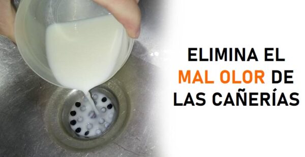 Como eliminar el mal olor de las cañerías