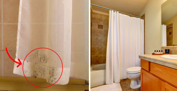 Como eliminar el moho de la cortina del baño