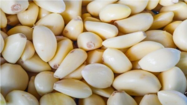 Como mantener el ajo fresco o durante mucho tiempo.