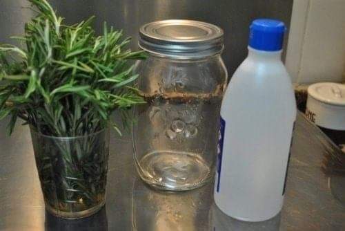 Como preparar alcohol de Romero.