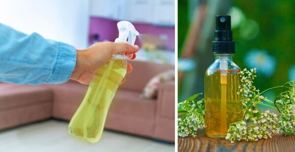 Como preparar aromatizante casero para la casa