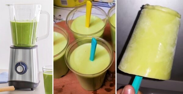 Como preparar helado de aguacate casero