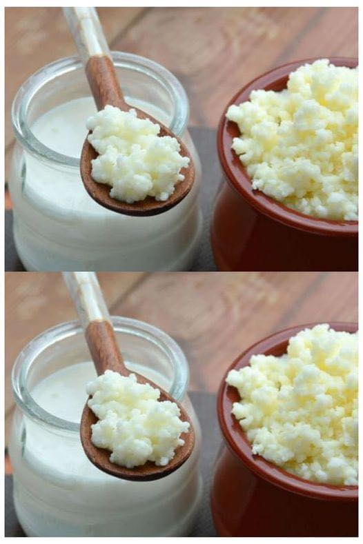 Como se crea el Kefir paso a paso y porque consumirlo cada día