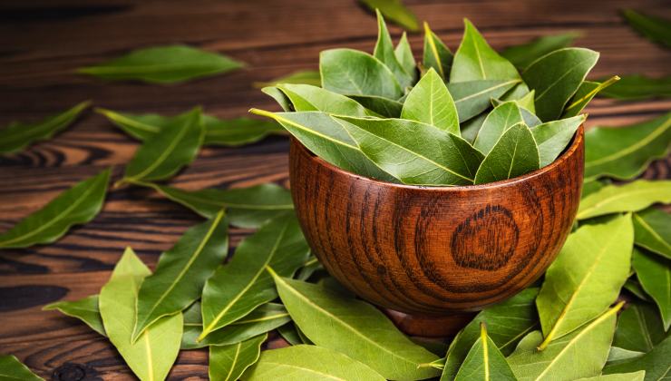 Resolver con 3 hojas de laurel