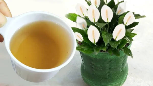 Con este abono natural tendrás una carga de flores para todo el año sin coste alguno