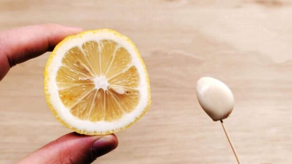 Con este antiguo método chino, las cucarachas siguen siendo sólo un recuerdo lejano