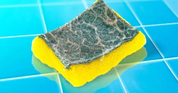 ¿Con qué frecuencia se deben cambiar las esponjas para platos? El plazo que está prohibido exceder