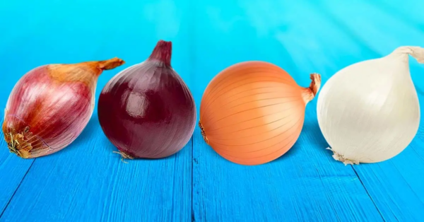 ¿Conoces la diferencia entre cebollas rojas, blancas y amarillas? Cada tipo tiene un uso específico