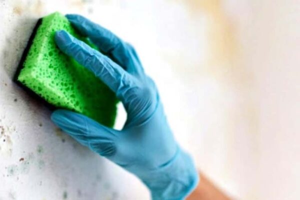 Consejos efectivos para luchar contra la humedad y disfrutar de un ambiente agradable