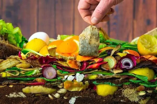 ¡Consejos insólitos para reutilizar las bolsitas de té en el mantenimiento de tu jardín!