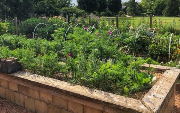 Consejos para preparar tu huerto en febrero y marzo