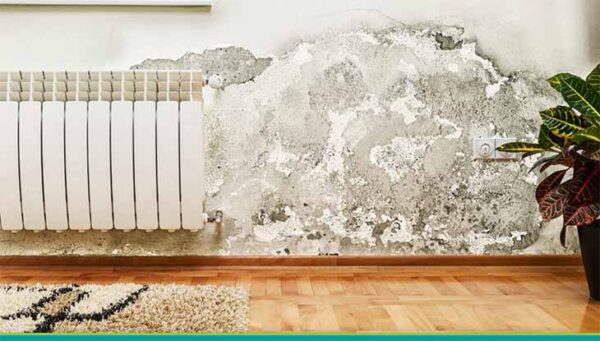 Consejos simples y efectivos para eliminar la humedad en la casa.