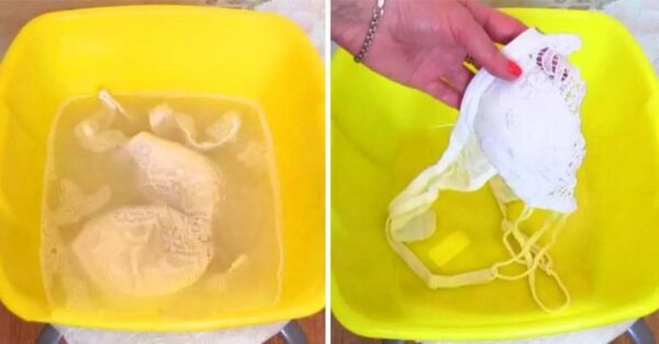 Consejos simples y útiles para restaurar los sujetadores a su color blanco brillante