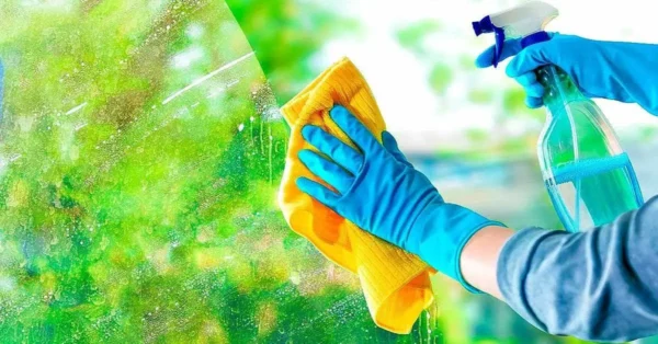 Cristales impecables sin el menor rastro gracias al truco de un limpiacristales