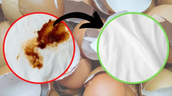Cáscara de huevo, ¿para qué sirven los quitamanchas? Ponlo en tus zapatos: nunca lo creerás