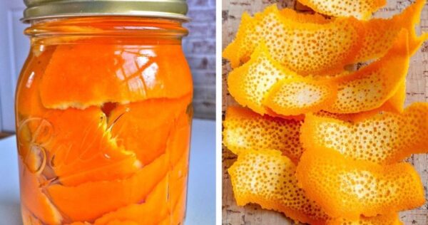 Cáscaras de cítricos: ponlas en un tarro de cristal y no las volverás a tirar, ¡mi abuela siempre lo hacía!