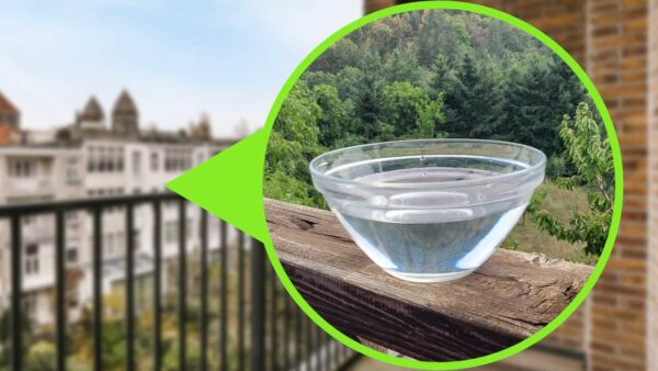 Cuenco de agua en el balcón, corre y recógelo inmediatamente: una medida que salvó millones de vidas