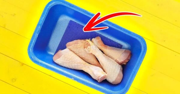 ¿Cuál es el propósito de la almohadilla absorbente en la parte inferior de las bandejas de carne empacada? poca gente sabe eso