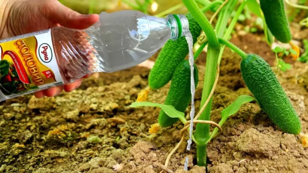 ¿Cuáles son los 18 usos destacados del vinagre blanco en el jardín?