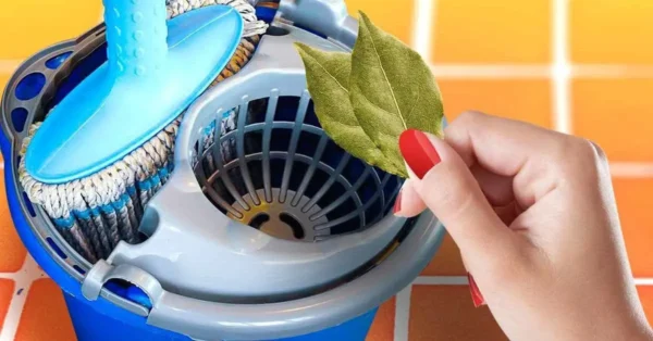 ¿Cuáles son los beneficios de las hojas de laurel para lavar el piso?