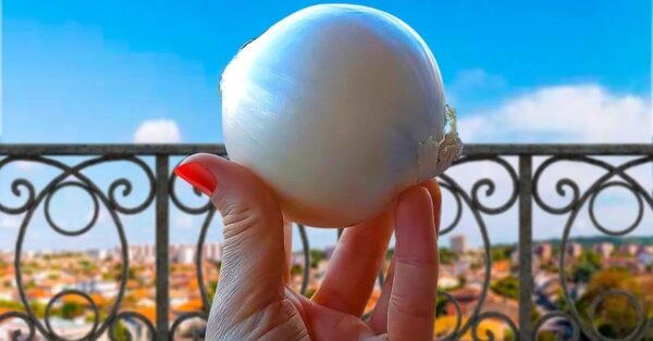 Dejar una cebolla en el balcón toda la noche: así se soluciona un problema muy molesto