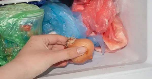 Deje una cebolla en el congelador antes de irse a dormir, ¡ahora todos lo hacen