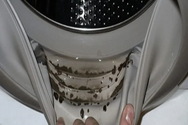 Descubre cómo eliminar el moho y el mal olor de la junta de la lavadora