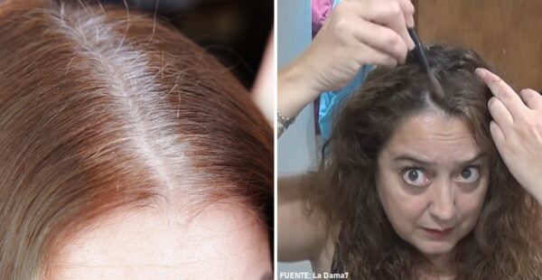 Descubre cómo maquillar tus canas para que no se vean
