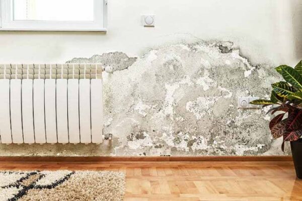 Descubre cómo reparar paredes húmedas