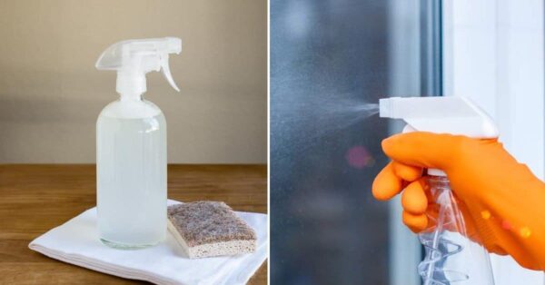 Descubre consejos infalibles para limpiar eficazmente todas las superficies de cristal con ingredientes naturales y ecológicos.