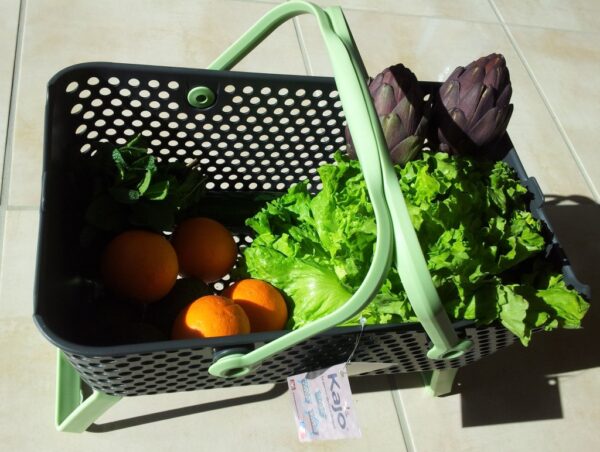 Descubre el Kajo, la nueva cesta nómada de Pouss’Vert