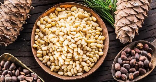 Descubre el sabor de los piñones: trucos y consejos