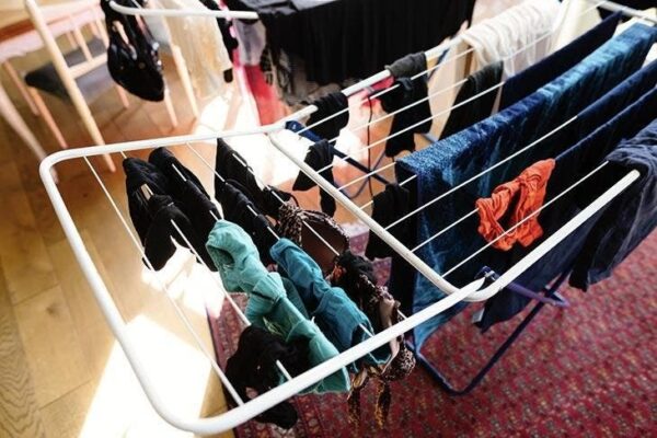 ¡Descubre las mejores plantas de interior que crecen a la sombra!