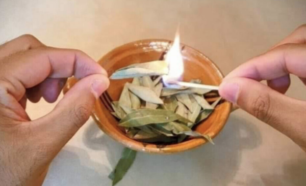 Descubre los increíbles beneficios de quemar hojas de laurel en casa