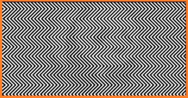 Descubre si eres parte del pequeño grupo de personas que puede apreciar el animal