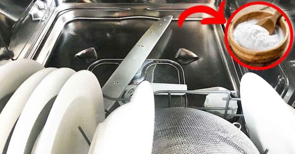 Descubre trucos caseros para limpiar el lavavajillas, desinfectarlo y eliminar la cal.